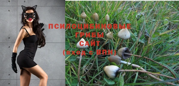 шишки Алзамай