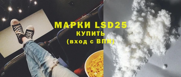 шишки Алзамай