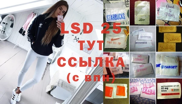шишки Алзамай
