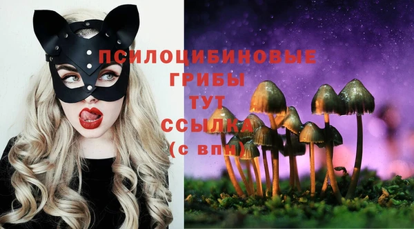 шишки Алзамай