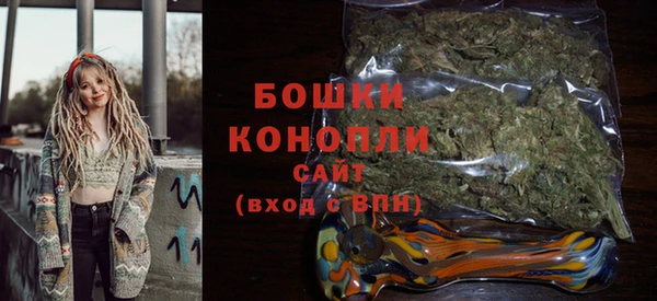 шишки Алзамай