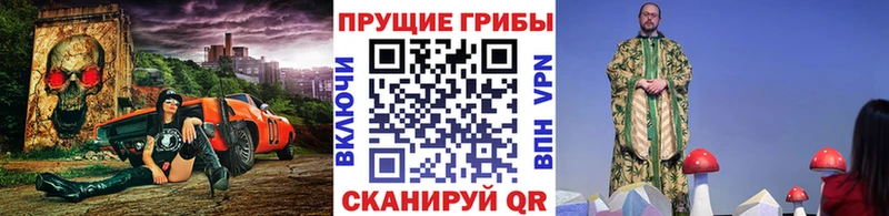 Псилоцибиновые грибы MAGIC MUSHROOMS  Зуевка 